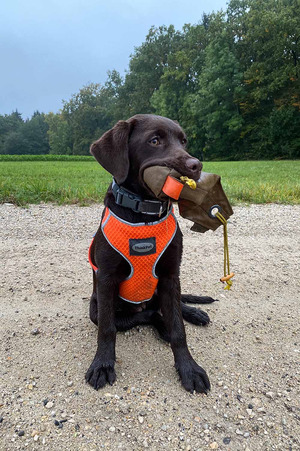 Dummy für Hundetraining aus PU beschichtetem Nylon